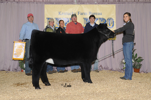 Leslie Rogers Champion Chi Heifer