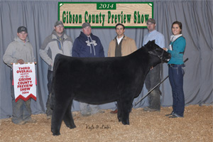 2014 Gibson County Preview Show champ cross & 3rd overall
