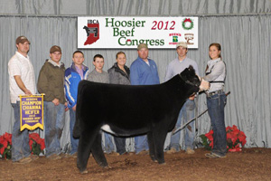 Res Champion Chi Heifer 2012 Hoosier Beef Congress