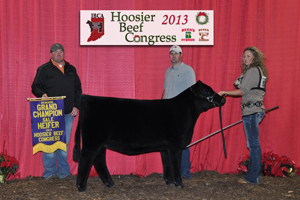 Reserve Grand Sale Heifer 2013 Hoosier Beef Congress